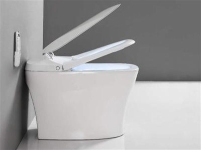 Πώς λειτουργούν τα καθίσματα τουαλέτας με μαλακό κλείσιμο